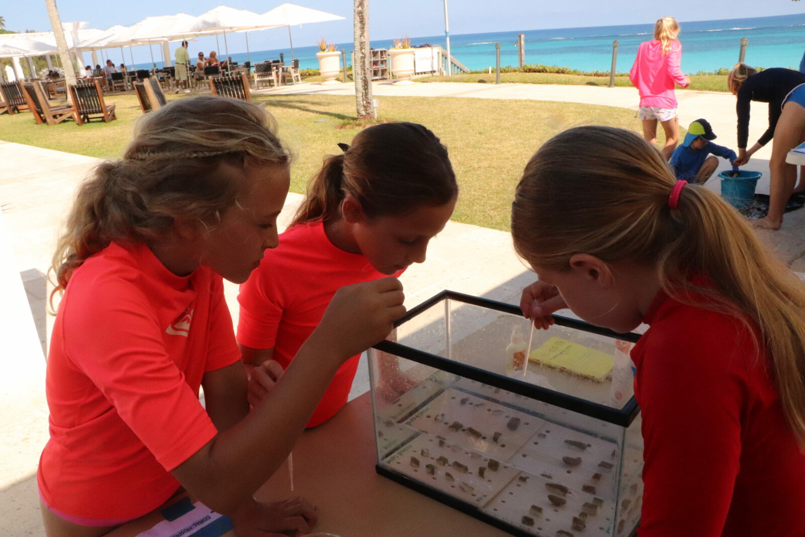 Workshop girls feeding corals